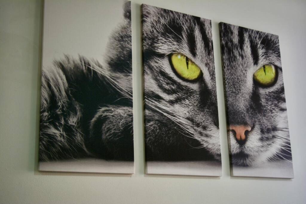 Casa Del Gato Apartamento Cartagena